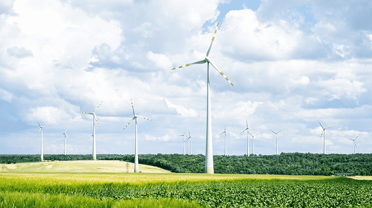 European Clean Hydrogen Alliance - Grüner Wasserstoff hat das Potenzial, ganze Sektoren zu dekarbonisieren. | Foto: pixabay, Dimitry Anikin